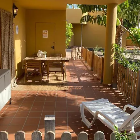 The Little Palm * 코라레호